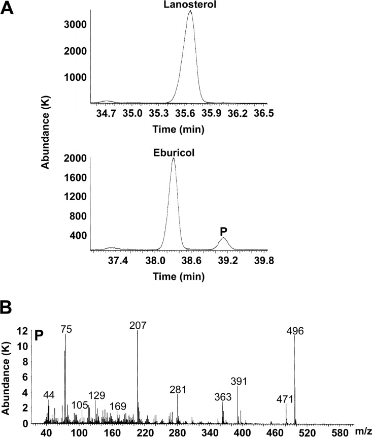 FIG 3