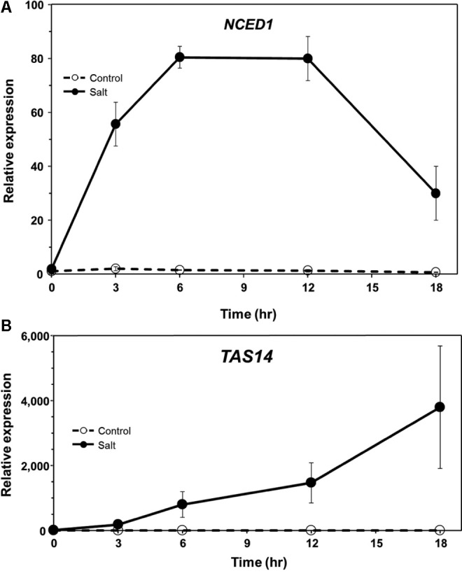 FIGURE 3