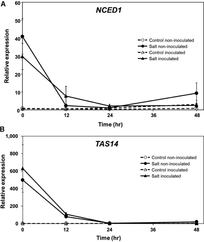 FIGURE 4