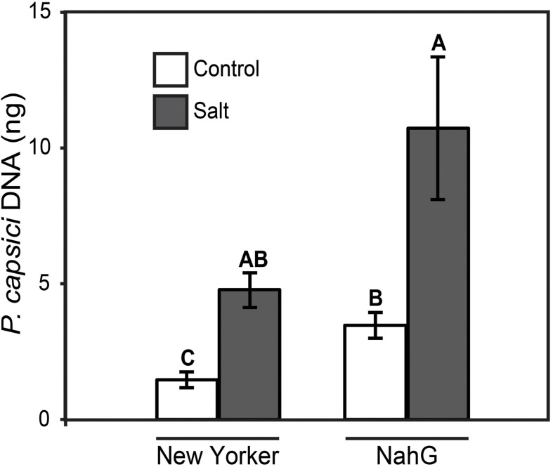 FIGURE 6