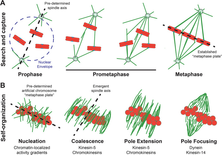 FIGURE 1: