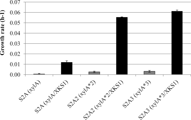 Fig 5