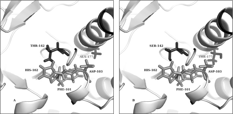 Fig 7