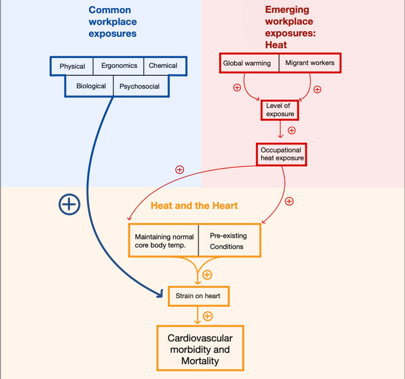 The connection between common workplace exposures and emerging occupational heat exposure