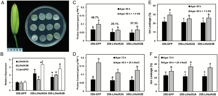 Fig. 12.