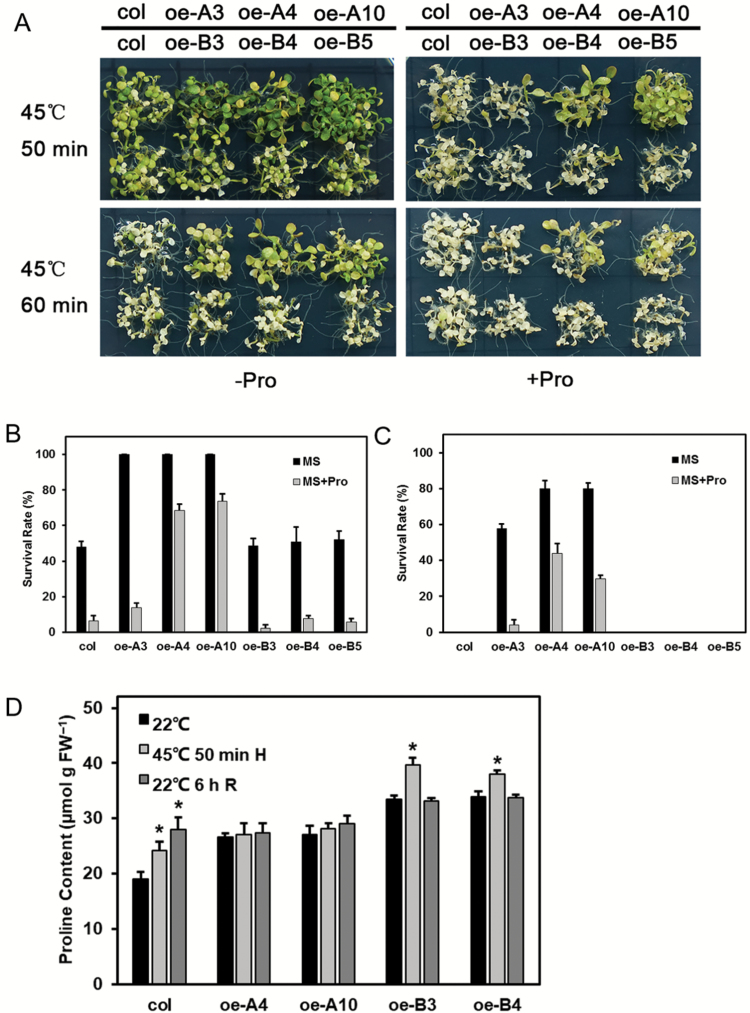 Fig. 13.