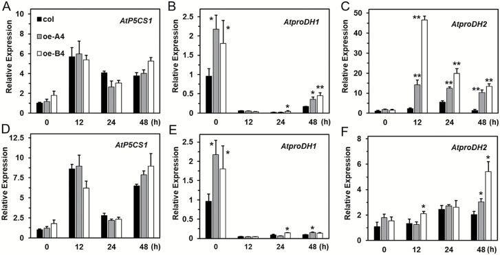 Fig. 10.