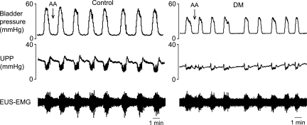 Fig. 9.