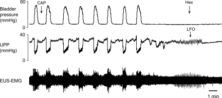 Fig. 10.