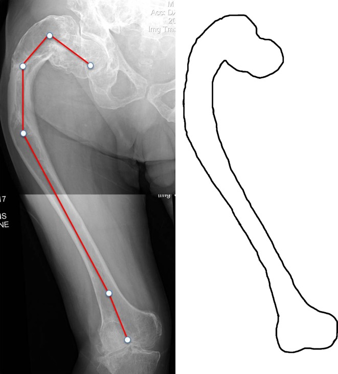 Fig. 6