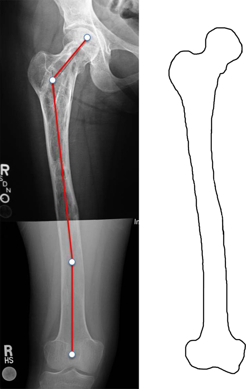 Fig. 1