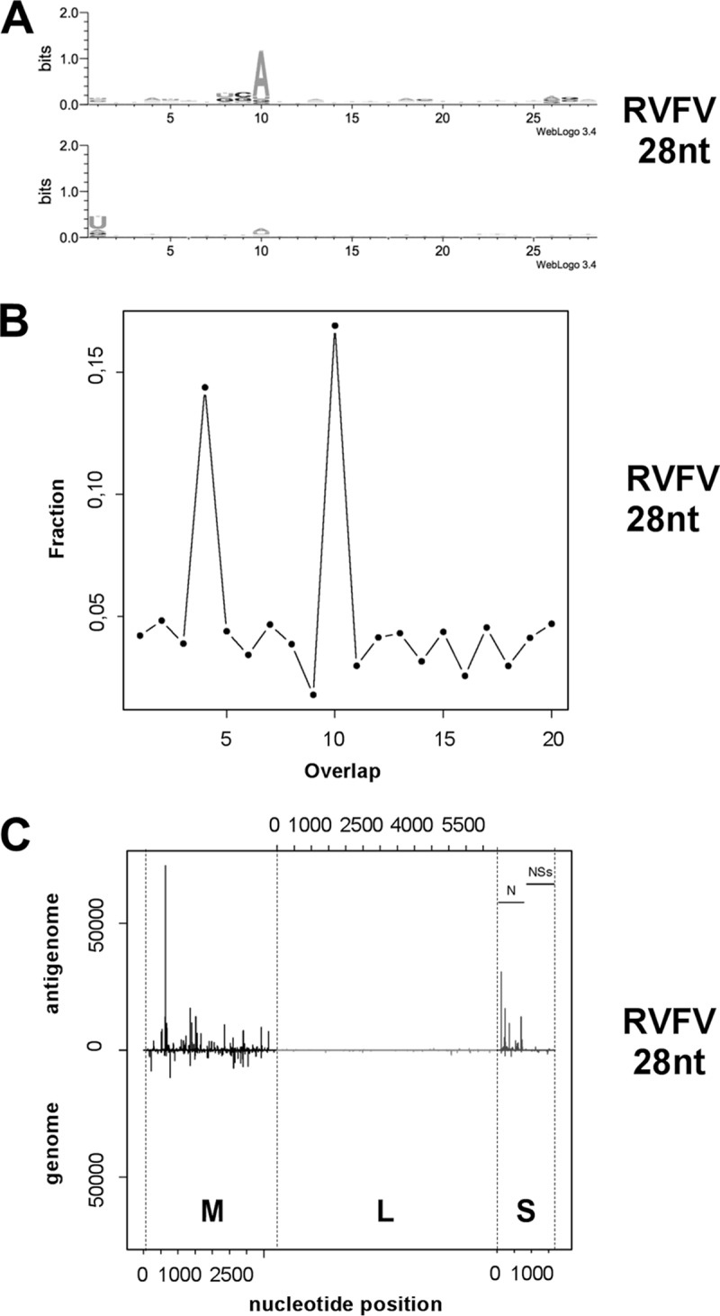 FIG 2 