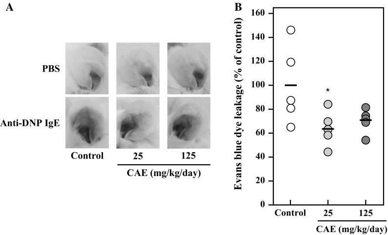 Fig. 7