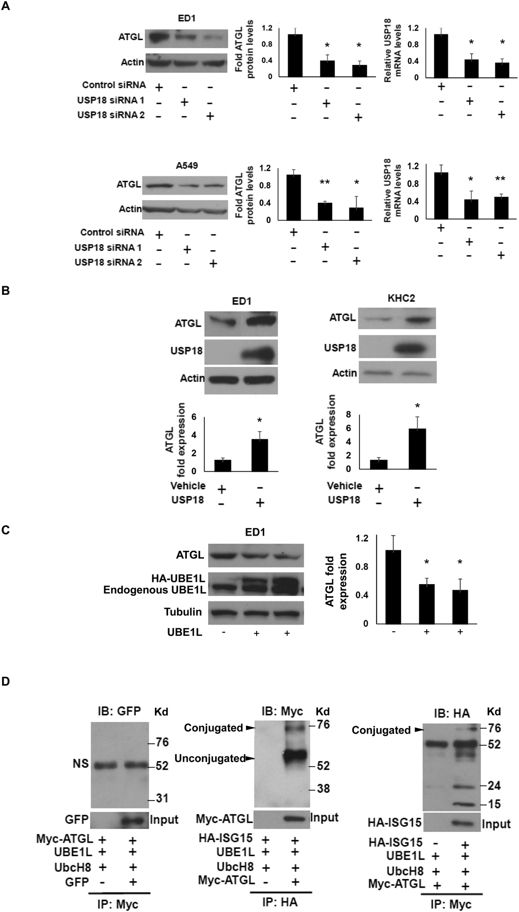 Figure 2: