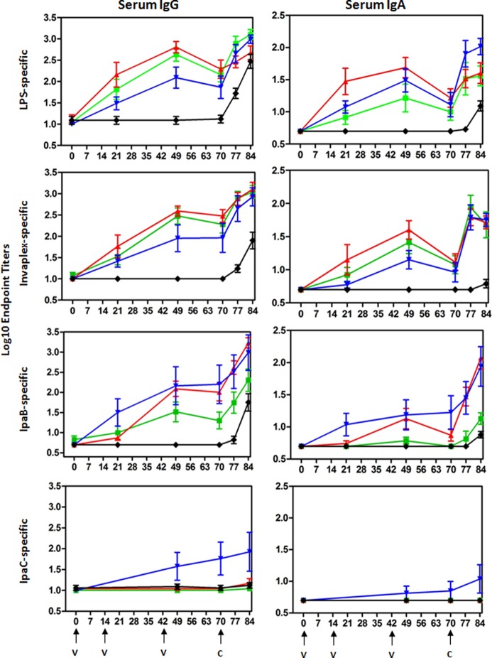 FIG 2