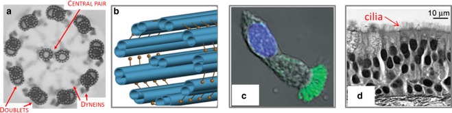 Figure 1.