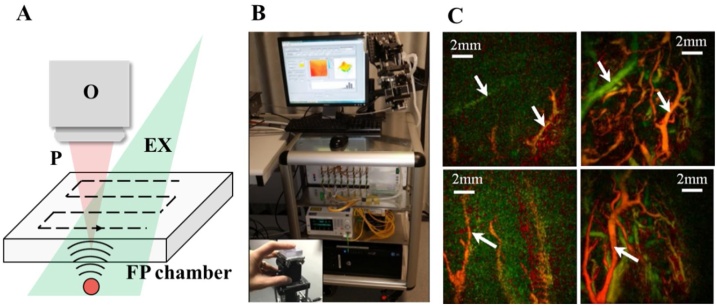 Fig. 3