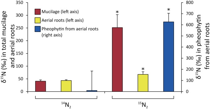 Fig 5