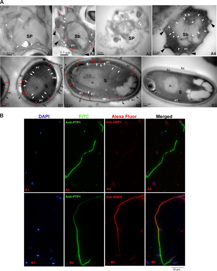 FIG 3