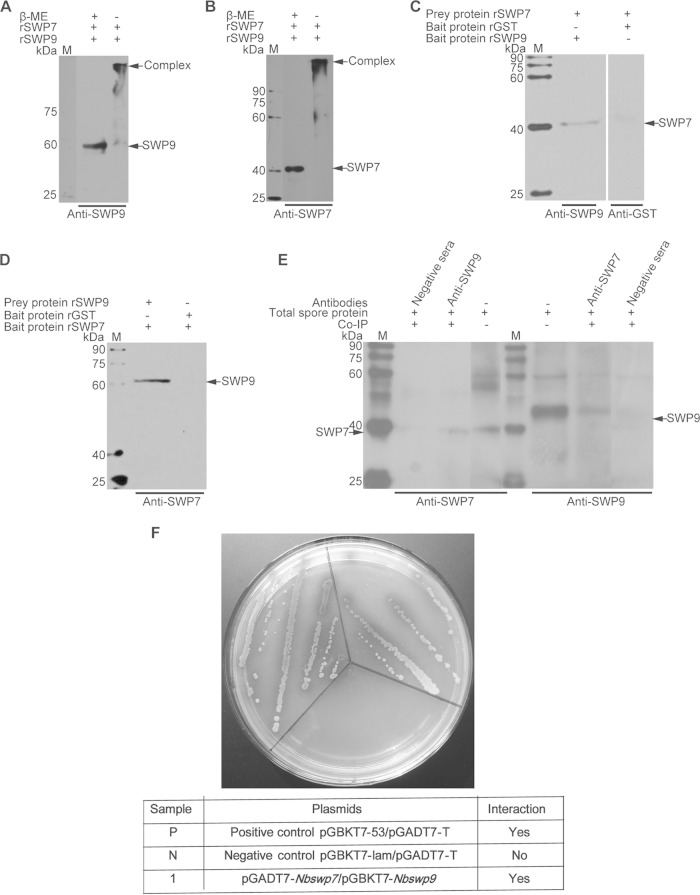 FIG 5