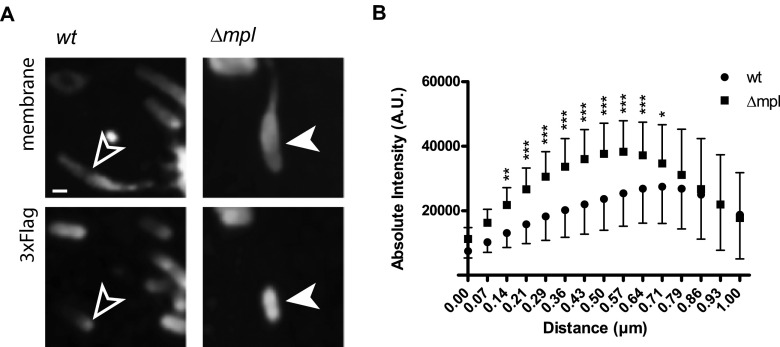 FIG 3