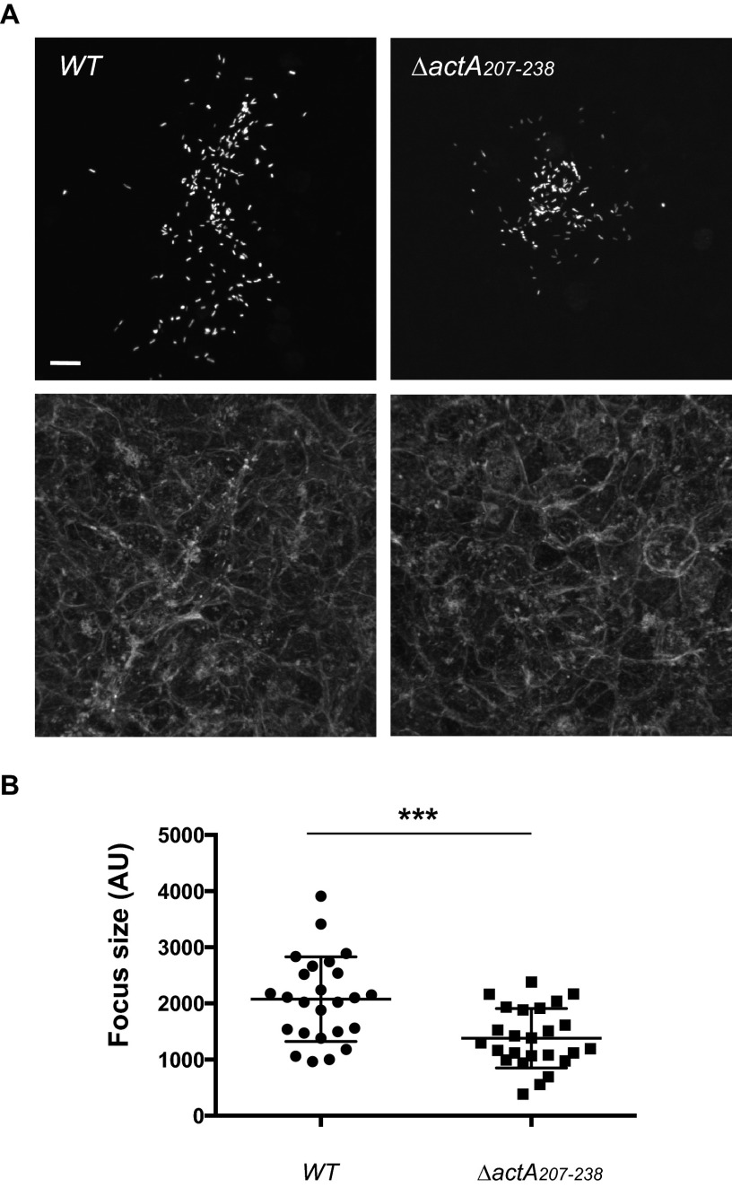 FIG 6