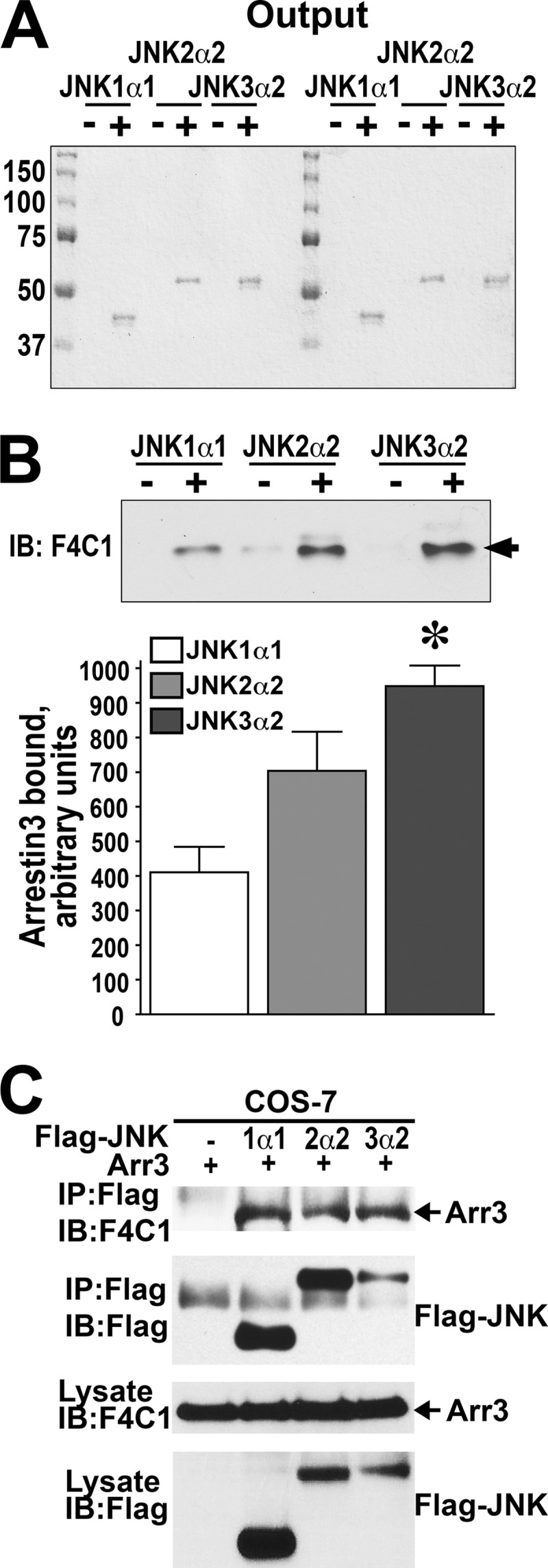 FIGURE 1.