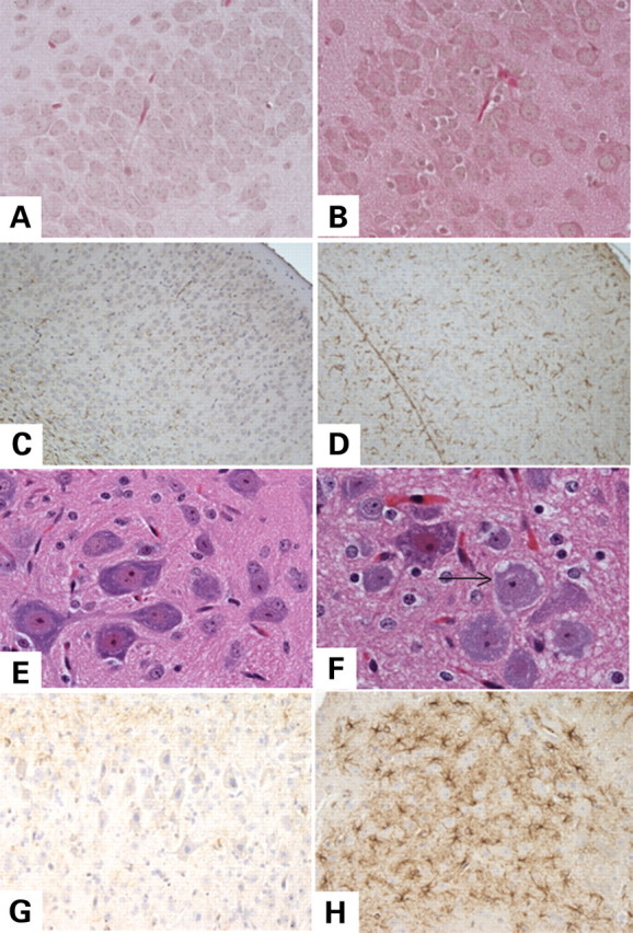 Figure 7.