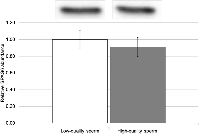 Figure 5