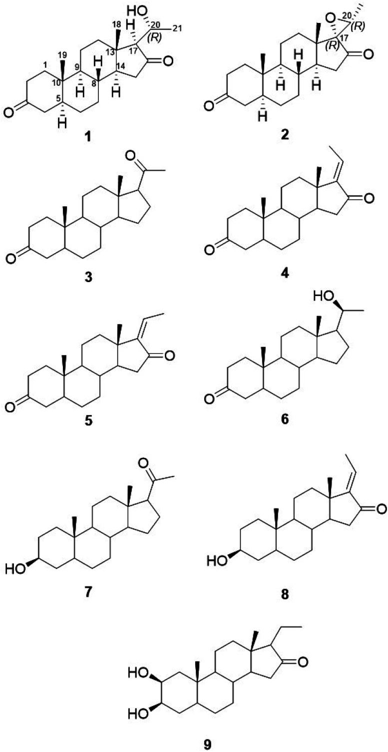 Fig. 1