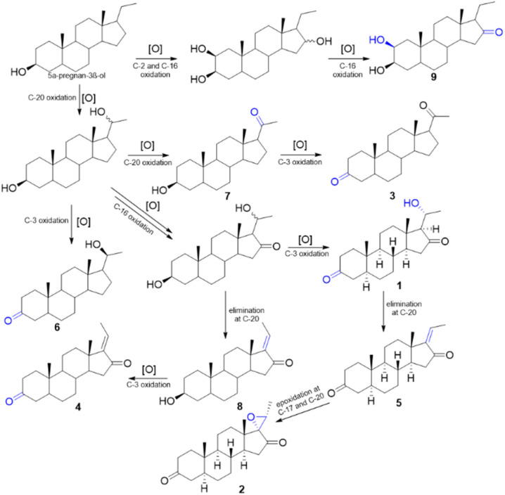 Scheme 1