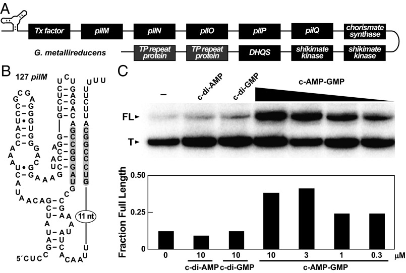 Fig. 3.