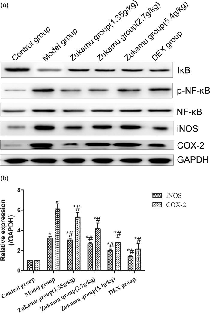 Figure 5.