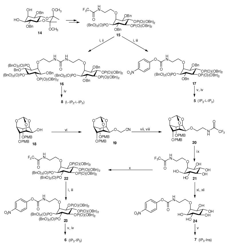 Scheme 1