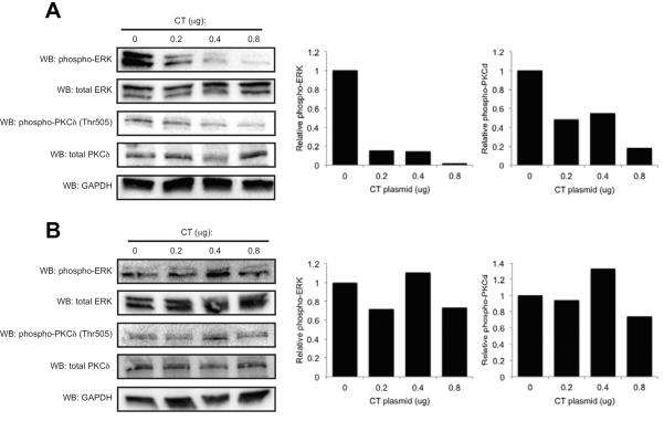 Fig 5