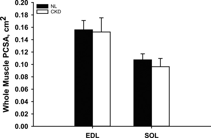 FIGURE 5: