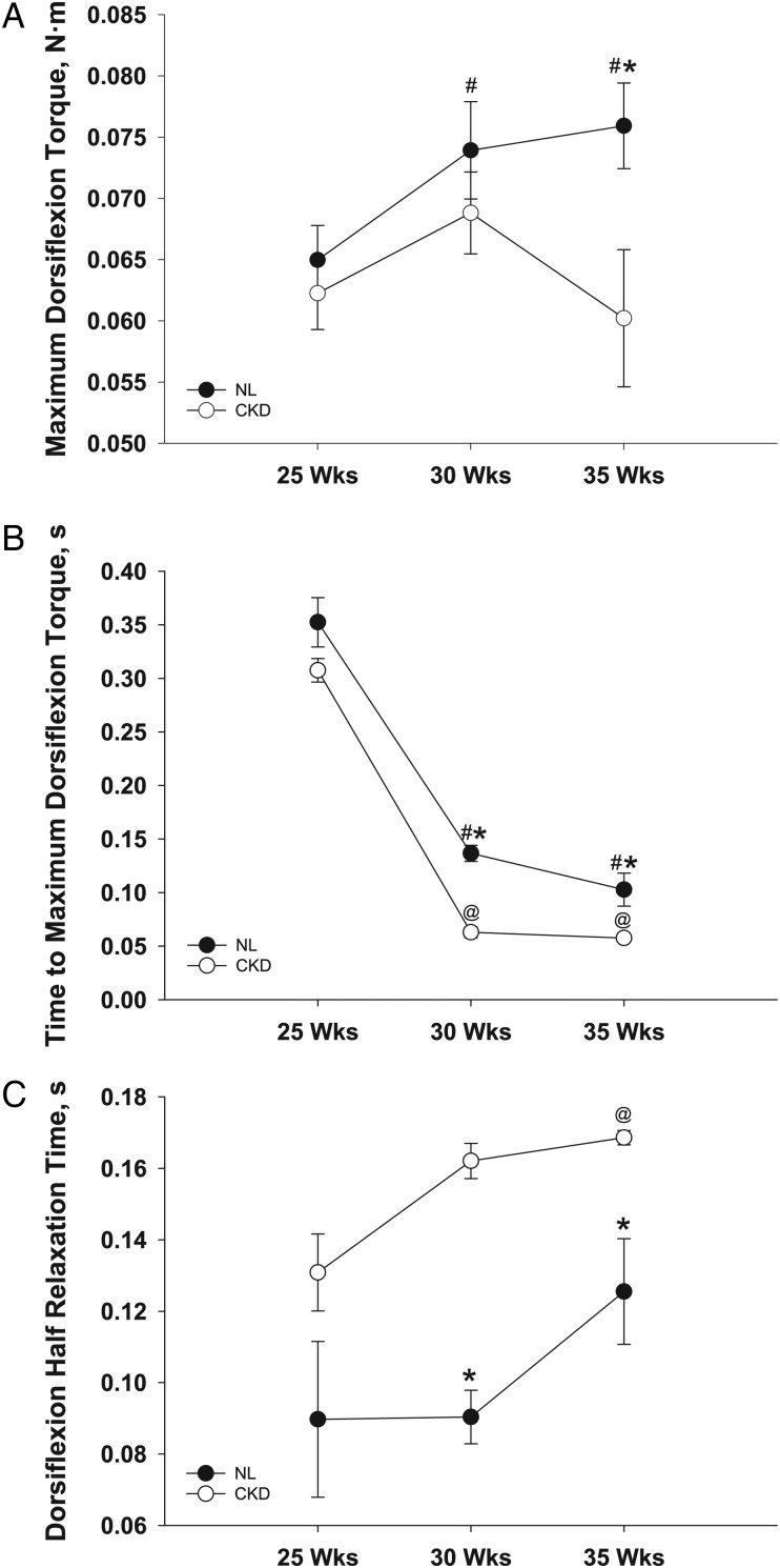 FIGURE 2: