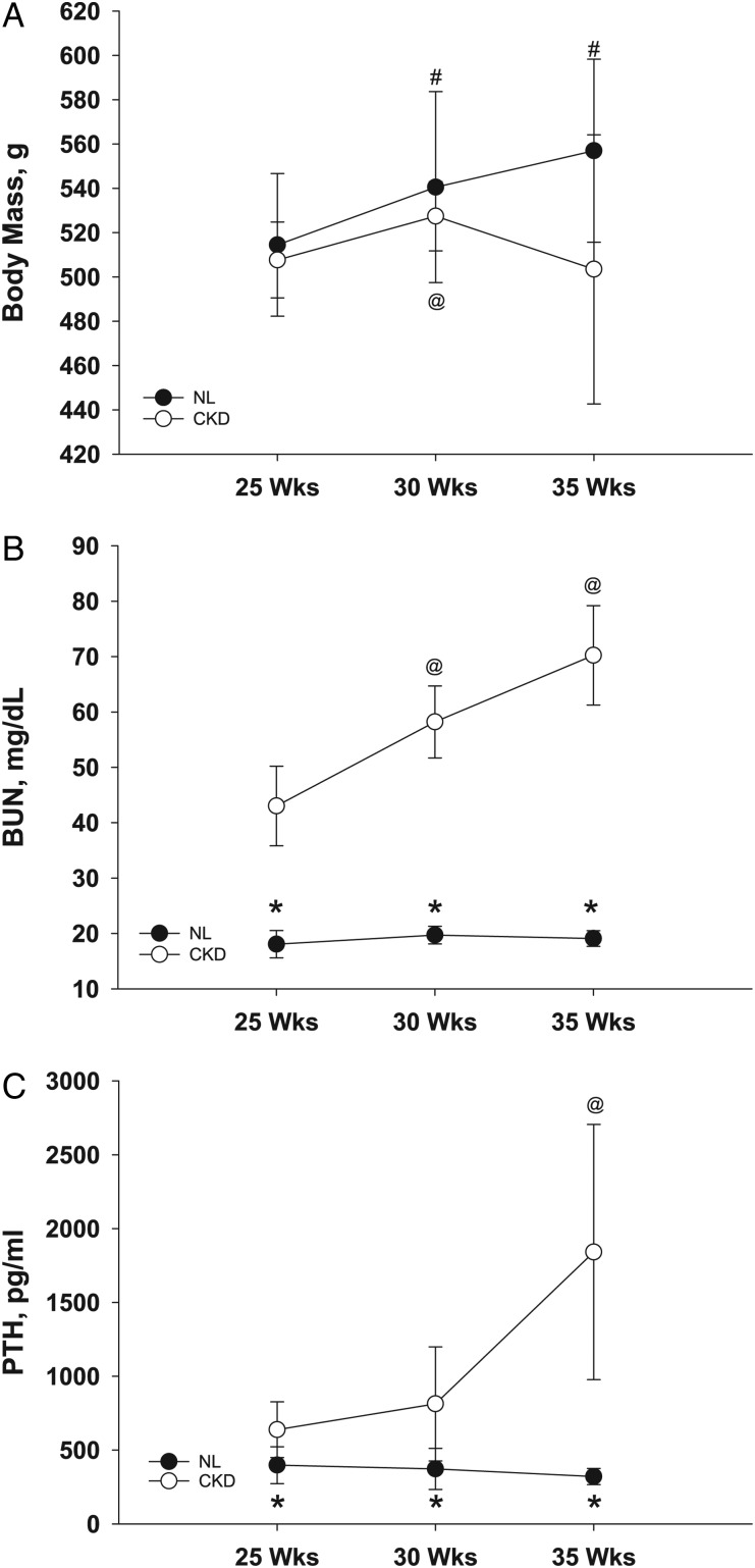 FIGURE 1: