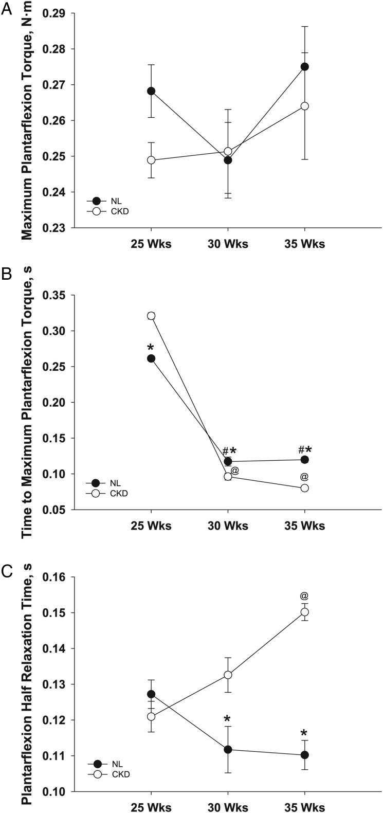 FIGURE 3: