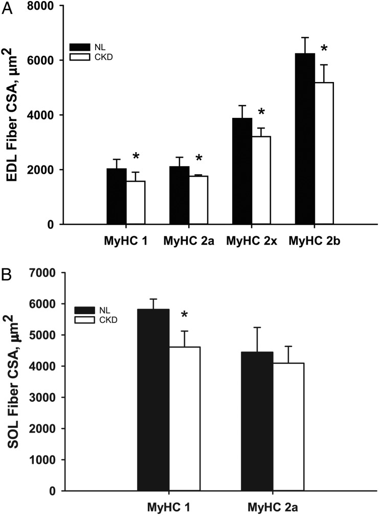 FIGURE 6: