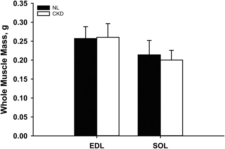 FIGURE 4: