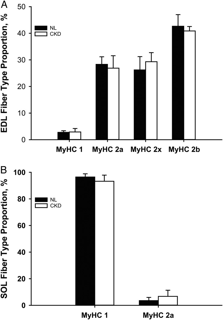 FIGURE 7: