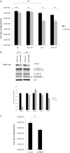 FIG 6