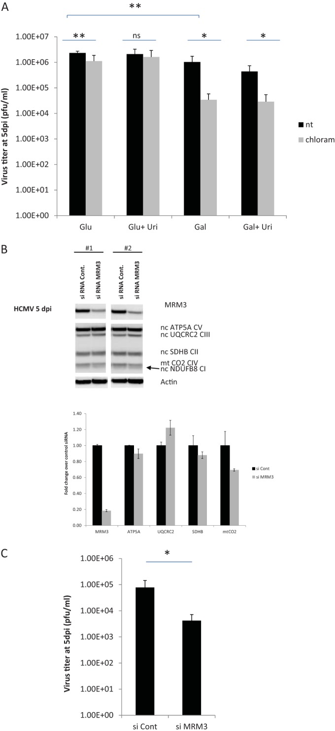 FIG 6 