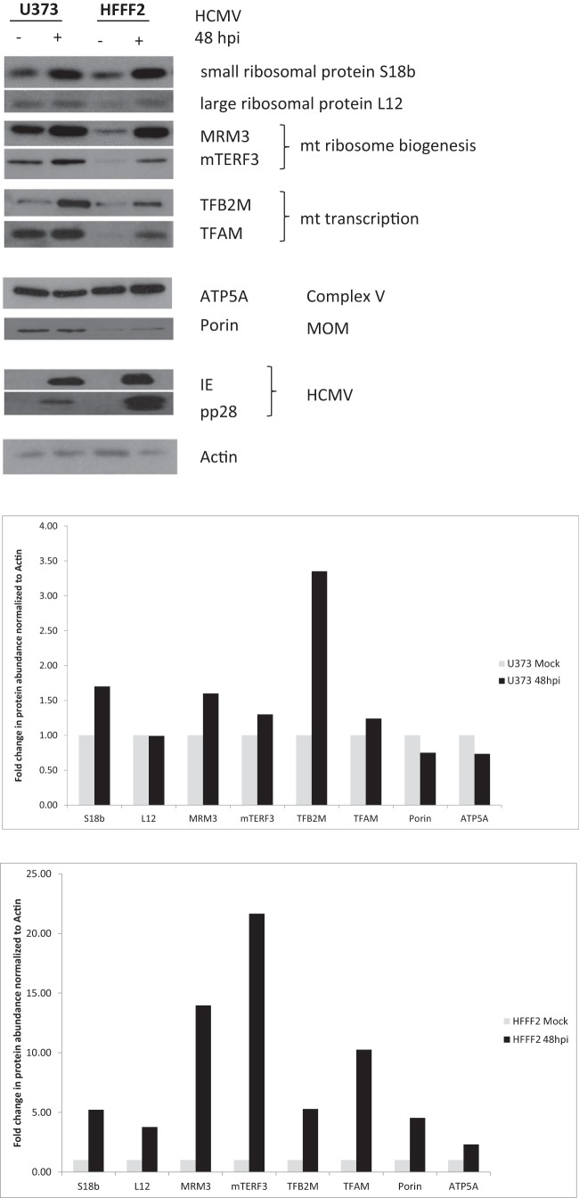 FIG 2 