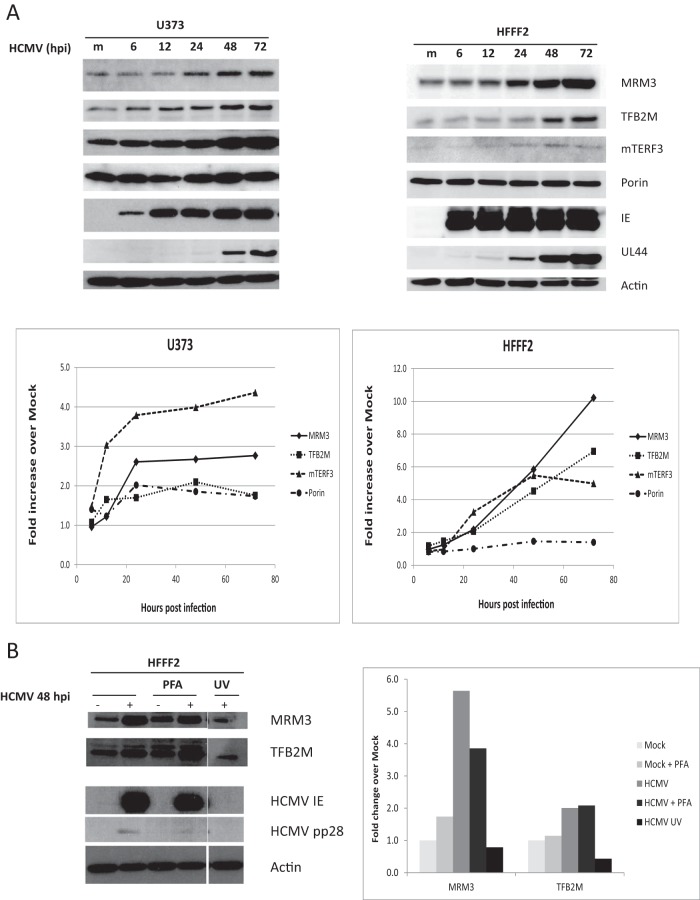 FIG 3 