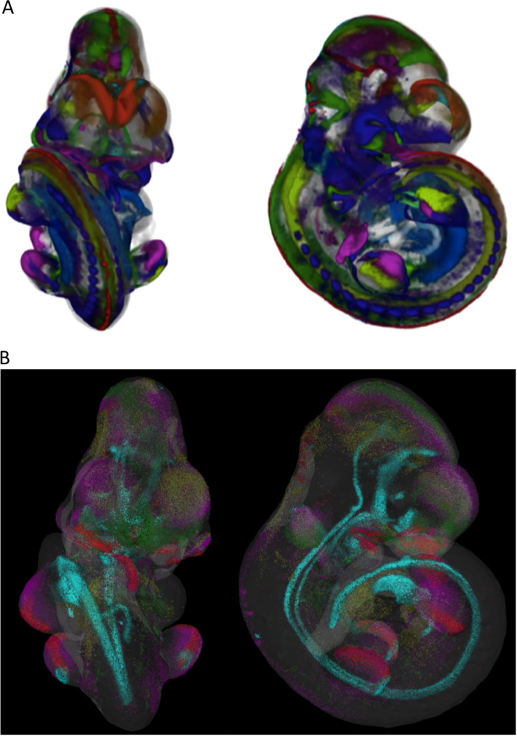 Fig. 2