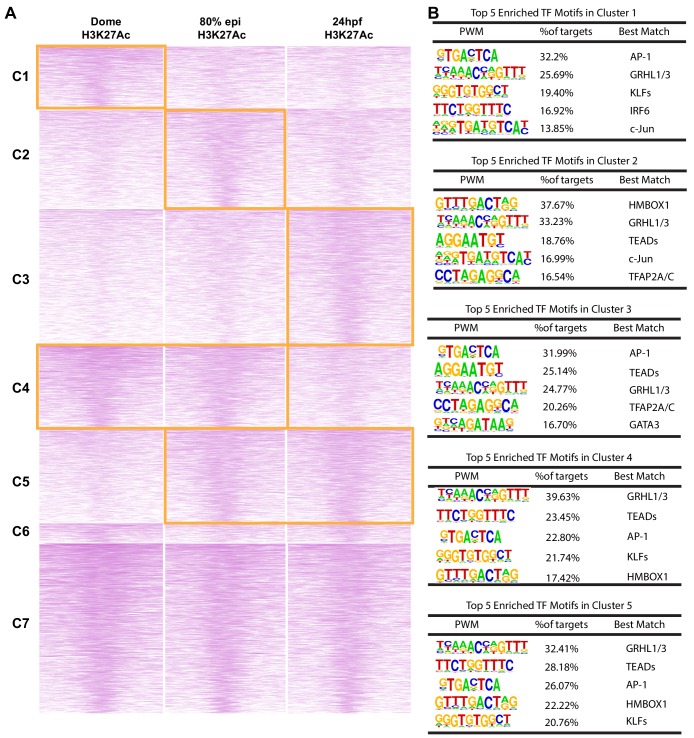 Figure 2—figure supplement 1.