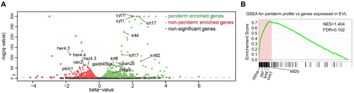 Figure 1—figure supplement 6.