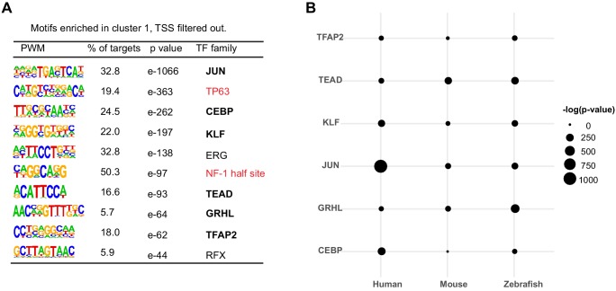 Figure 5—figure supplement 3.